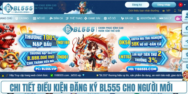 Chi tiết các điều kiện đăng ký BL555 cho người mới