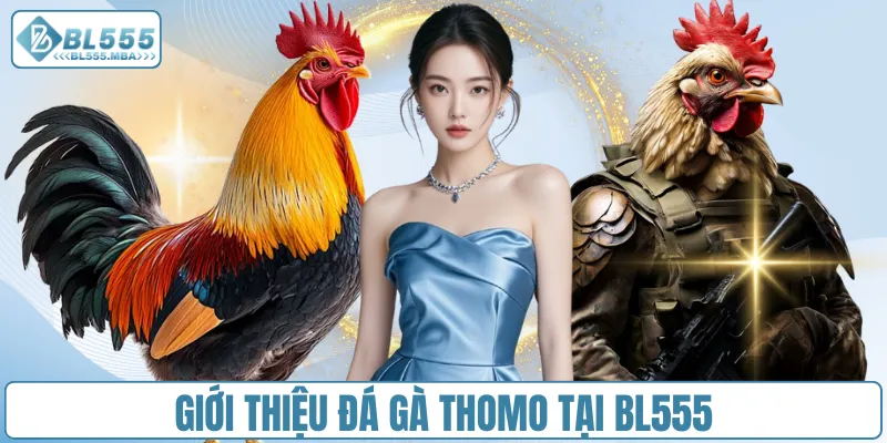 Giới thiệu đá gà Thomo tại BL555